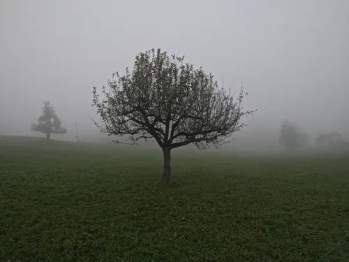 Long Hike in the Fog
