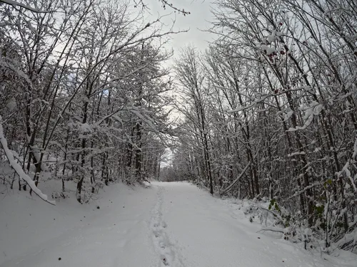 Snow Run