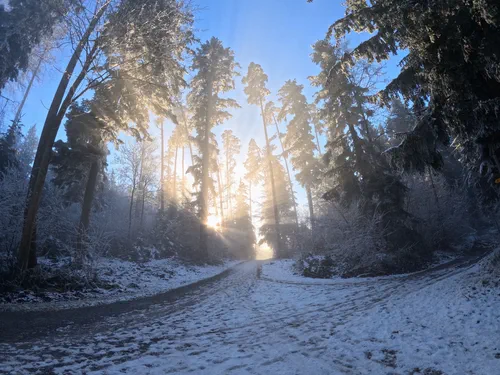 Escape the Fog to Pfannenstiel