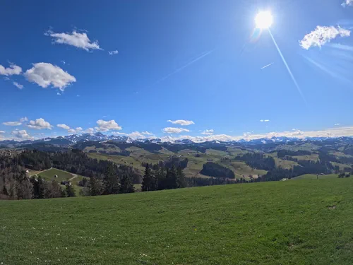 Run & Hike: Herisau to Wald ZH